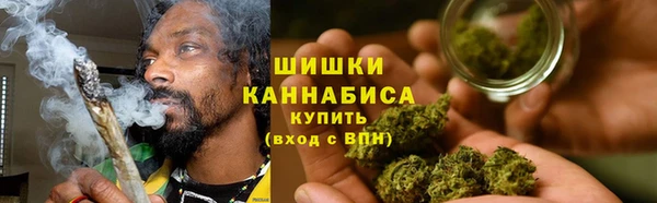 PSILOCYBIN Коряжма