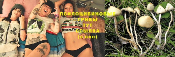 бутират Краснослободск