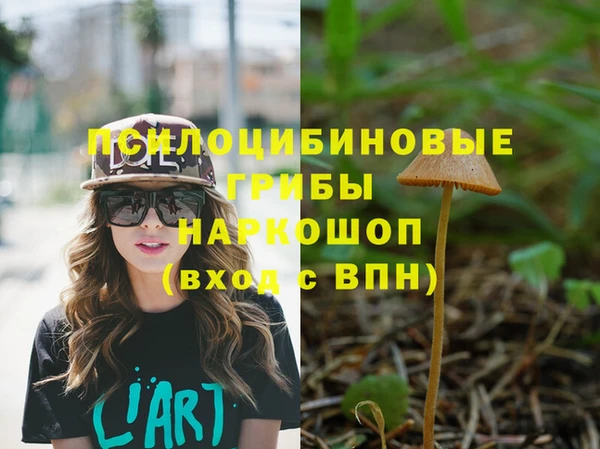 стафф Красноперекопск