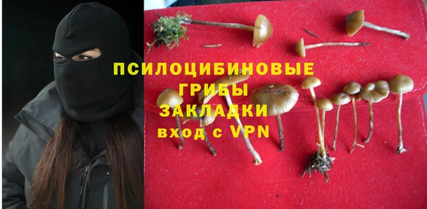 соль ск Козловка