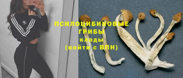 бутират Краснослободск